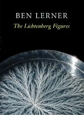 Lerner |  The Lichtenberg Figures | eBook | Sack Fachmedien