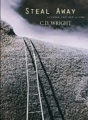Wright |  Steal Away | eBook | Sack Fachmedien