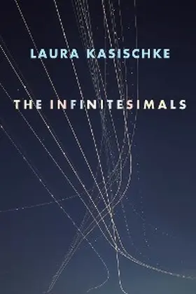 Kasischke |  The Infinitesimals | eBook | Sack Fachmedien