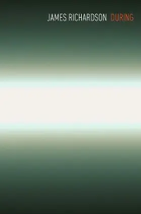 Richardson |  During | eBook | Sack Fachmedien