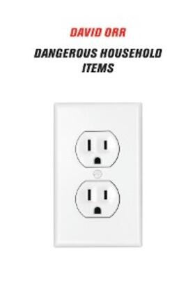 Orr |  Dangerous Household Items | eBook | Sack Fachmedien