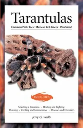 Walls |  Tarantulas (Advanced Vivarium Systems) | eBook | Sack Fachmedien