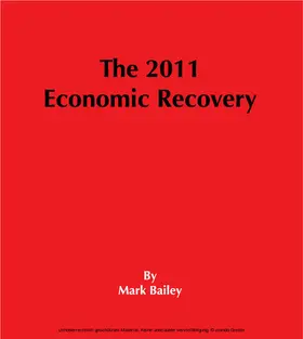 Bailey |  2011 Economic Recovery | eBook | Sack Fachmedien