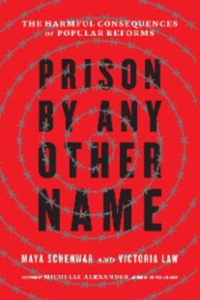 Schenwar / Law | Prison by Any Other Name | E-Book | sack.de