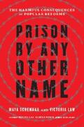 Schenwar |  Prison by Any Other Name | eBook | Sack Fachmedien