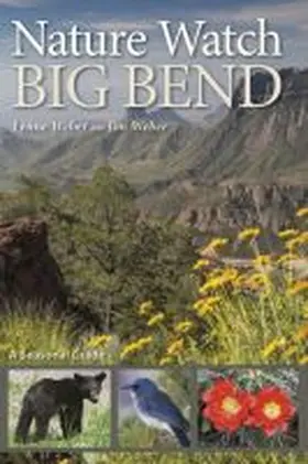 Weber |  Nature Watch Big Bend, Volume 55 | Buch |  Sack Fachmedien