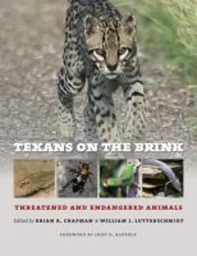 Chapman / Lutterschmidt |  Texans on the Brink | Buch |  Sack Fachmedien