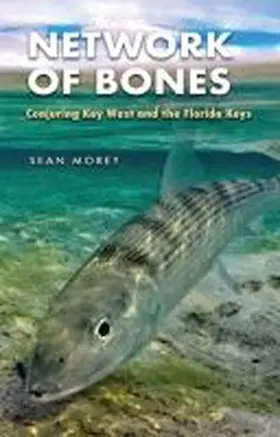 Morey |  Network of Bones | Buch |  Sack Fachmedien
