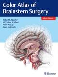 Yagmurlu / Spetzler / Kalani |  Color Atlas of Brainstem Surgery | Buch |  Sack Fachmedien