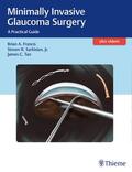 Francis / Sarkisian / Tan |  Minimally Invasive Glaucoma Surgery | Buch |  Sack Fachmedien