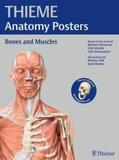 Schuenke / Schulte / Schumacher |  THIEME Anatomy Posters Bones and Muscles | Sonstiges |  Sack Fachmedien