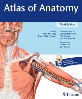 Gilroy / MacPherson / Schuenke |  Gilroy, A: Atlas of Anatomy | Buch |  Sack Fachmedien