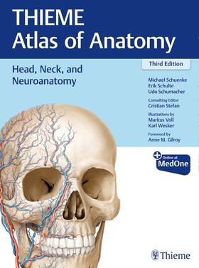 Schuenke / Schulte / Schumacher | Head, Neck, and Neuroanatomy (THIEME Atlas of Anatomy) | Buch | 978-1-62623-722-3 | sack.de