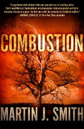 Smith |  Combustion | eBook | Sack Fachmedien