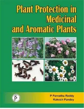 Reddy / Pandey |  Plant Protection In Medicinal And Aromatic Plants | eBook | Sack Fachmedien