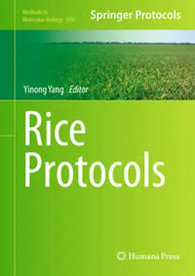 Yang | Rice Protocols | E-Book | sack.de