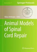 Aldskogius |  Animal Models of Spinal Cord Repair | Buch |  Sack Fachmedien