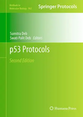 Deb |  p53 Protocols | eBook | Sack Fachmedien
