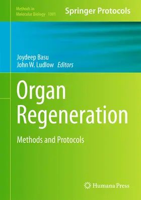 basu / Ludlow | Organ Regeneration | Buch | 978-1-62703-362-6 | www.sack.de