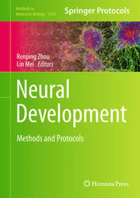 Zhou / Mei | Neural Development | E-Book | sack.de