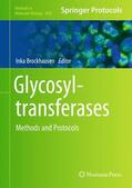 Brockhausen |  Glycosyltransferases | Buch |  Sack Fachmedien