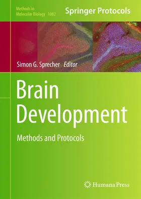 Sprecher |  Brain Development | Buch |  Sack Fachmedien