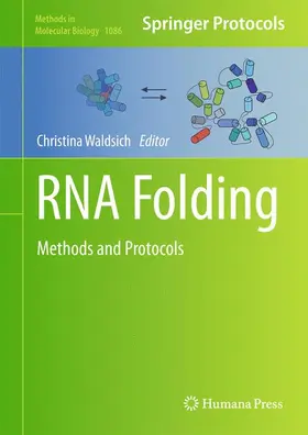 Waldsich |  RNA Folding | Buch |  Sack Fachmedien