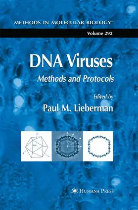 Lieberman |  DNA Viruses | Buch |  Sack Fachmedien