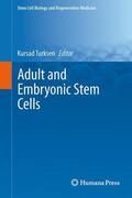 Turksen |  Adult and Embryonic Stem Cells | Buch |  Sack Fachmedien