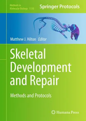 Hilton | Skeletal Development and Repair | Buch | 978-1-62703-988-8 | www.sack.de