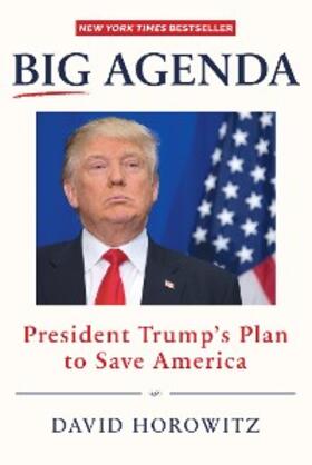 Horowitz |  Big Agenda | eBook | Sack Fachmedien