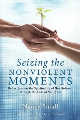 Small |  Seizing the Nonviolent Moments | eBook | Sack Fachmedien