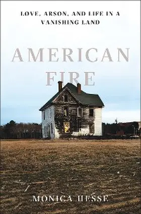 Hesse |  American Fire | eBook | Sack Fachmedien