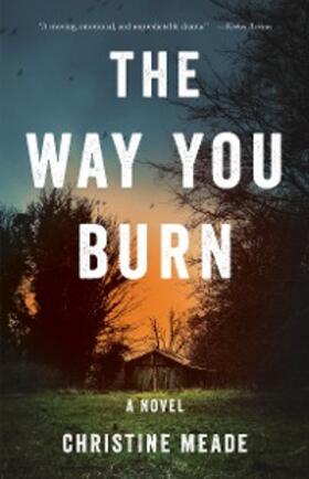 Meade |  The Way You Burn | eBook | Sack Fachmedien