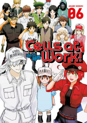 Shimizu |  Cells at Work! 6 | Buch |  Sack Fachmedien