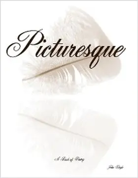 Doyle |  Picturesque | eBook | Sack Fachmedien