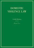  Domestic Violence Law | Buch |  Sack Fachmedien