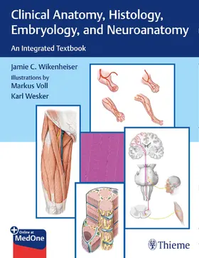 Wikenheiser |  Clinical Anatomy, Histology, Embryology, and Neuroanatomy | eBook | Sack Fachmedien