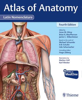 Gilroy / MacPherson / Wikenheiser | Atlas of Anatomy, Latin Nomenclature | E-Book | sack.de