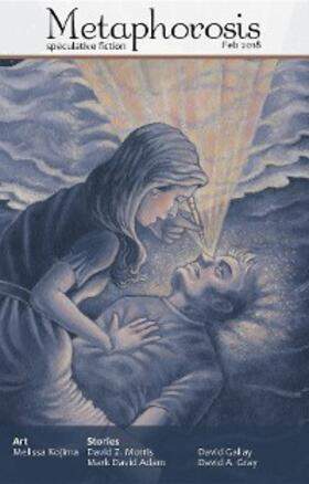 Magazine / Allen |  Metaphorosis February 2018 | eBook | Sack Fachmedien