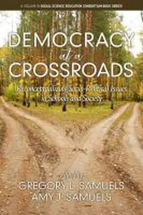 Samuels |  Democracy at a Crossroads | Buch |  Sack Fachmedien