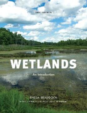 Braddock / Hennessey |  Wetlands | eBook | Sack Fachmedien