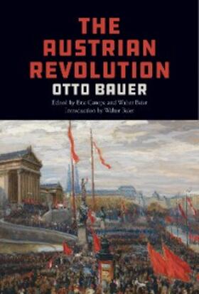 Bauer / Canepa / Baier |  The Austrian Revolution | eBook | Sack Fachmedien