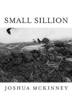 Mckinney |  Small Sillion | eBook | Sack Fachmedien
