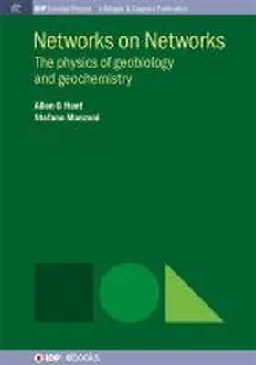Hunt / Manzoni |  Networks on Networks | Buch |  Sack Fachmedien