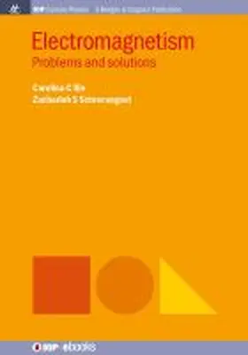 Ilie / Schrecengost |  Electromagnetism | Buch |  Sack Fachmedien