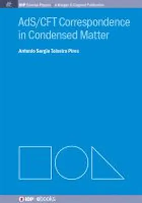 Pires |  AdS/CFT Correspondence in Condensed Matter | Buch |  Sack Fachmedien