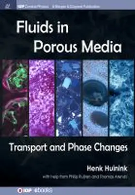 Huinink |  Fluids in Porous Media | Buch |  Sack Fachmedien