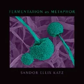 Katz |  Fermentation as Metaphor | eBook | Sack Fachmedien
