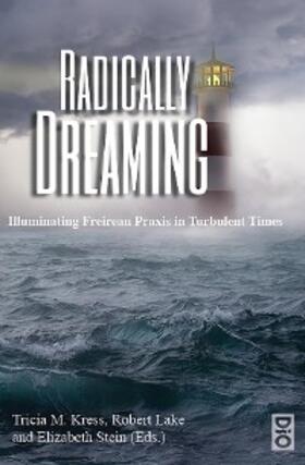 Kress / Lake / Stein |  Radically Dreaming | eBook | Sack Fachmedien